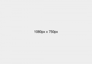 Read more about the article Vestibulum sapin prin quam